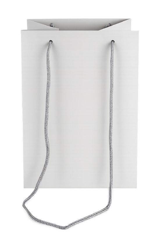 Picture of Florist Bag  Silver x 10